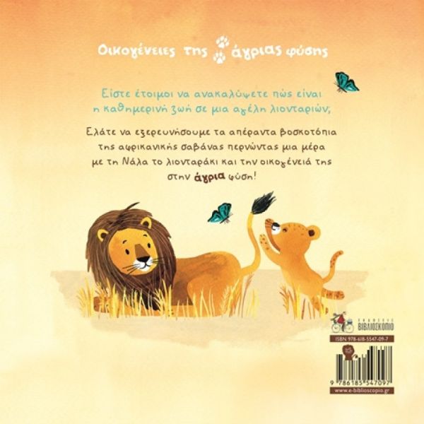 347262_littlelion_bcvr-800x800_1
