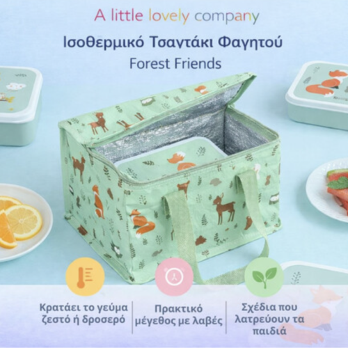 ισοθερμικό τσαντάκι φαγητού