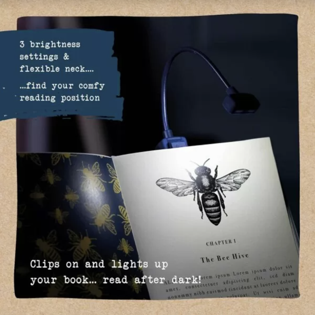 bee light bee light